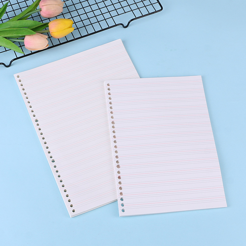 A4 a5 b5 caderno diário médio  - Notebook Dotted A5 avaliação e preço